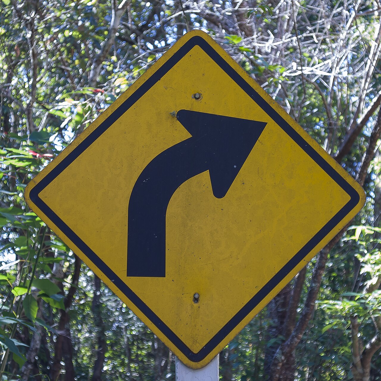 Eight Common Mistakes in Gold Trading and Real Loss Cases